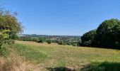 Tocht Stappen Trooz - ferme des loups  - Photo 2