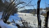 Randonnée Marche Dalhem - dalhem-val dieu sous la neige  - Photo 10