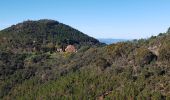 Excursión Senderismo Fréjus - 2023-06-09_09h29m39_SityTrail - 2076718 - st-raphael-x-esterel-mont-vinaigre-x-maison-duchesse-et-abri-gaspard-2019x05x09-xrqbx - Photo 2