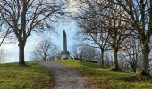 Tour Wandern Viroinval - BruBer : Olloy-Regniessart (GR12&GTFC) - Photo 9