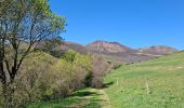 Trail Walking Chambon-sur-Lac - BOUCLE AUTOUR DE LA COUZE DE SURAINS - Photo 11