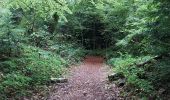 Tocht Stappen Bort-les-Orgues - Tour des orgues à Bort les Orgues - Photo 10