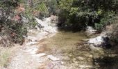 Tour Wandern Ollioules - Grottes St Martin 1et 2 + Christianisée - Photo 5