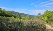 Randonnée Marche Nans-les-Pins - De Nans les pins vers les sources de l'Huveaune - Photo 2