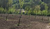 Tocht Stappen Grignols - sentier historique de Grignols - Photo 1