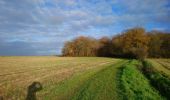 Tour Wandern Notre-Dame-d'Oé - Notre-Dame-d'Oé - PR sud - 8.8km 60m 1h50 - 2020 12 12 - Photo 2