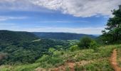 Trail Walking Mesnay - mesnay les planches - Photo 1