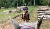 Trail Horseback riding Saint-Quirin - Camping st quirin belles roches abri Klein haut du bon Dieu halmoze lamperstein  - Photo 5