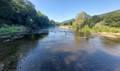 Tour Wandern Vresse-sur-Semois - Descente au pont de claies - Photo 2