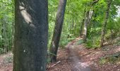 Tour Wandern Grez-Doiceau - Gastuche  - Photo 17