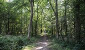 Trail Walking Momignies - Momignies - Circuit Natura 2000, des sites qui valent le détour - Ht08 - Photo 12