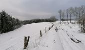 Trail Walking Fauvillers - Sur les traces des chevaliers maudits de Bodange  - Photo 5