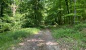 Percorso Marcia Noroy-sur-Ourcq - en Forêt de Retz_93_05_2022_le Bois de Cresnes - Photo 10
