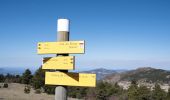 Randonnée Marche Aurel - Le Plateau de Solaure par Aurel - Photo 10