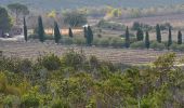 Trail Walking Puget-sur-Argens - Puget-sur-Argens - Les Terres Gastes - Photo 9