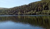 Randonnée Marche La Bresse - Tourbiere Marchey et Lac Rainkopf  - Photo 10