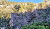 Tour Wandern Joucas - Gorges de Véroncle au départ de Joucas - Photo 18