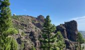 Randonnée Marche Tejeda - Pico de las Nieves (Gran Canaria) - Photo 14