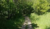 Tour Wandern Condé-en-Normandie - Condé sur Noireau - Photo 7