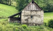 Trail Walking Saint-Lary-Soulan - AZET : Pla d’Ourtigué en boucle - Photo 6