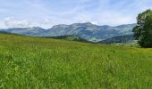 Tour Wandern Villard-de-Lans - Villard de Lans - Balcons et falaises de la Bourne - panorama  - Photo 5