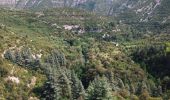 Trail On foot Blandas - Randonnée Cirque de Navacelles - Causse de Blandas - Vissec - Moulin de la Foux - Photo 10