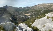 Trail Walking Trigance - Trigance : Rancoumas-Carajuan - Photo 12