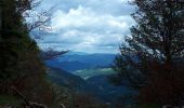 Percorso Marcia Mittlach - schnepfenried tour par platzervasen - Photo 6