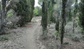 Trail Walking Leucate - leucatr courte - Photo 1