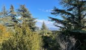 Randonnée Marche Bonnieux - PF-Bonnieux - Massif des Cèdres - Roque des Bancs - Les Portalas - AT - Photo 1