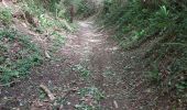 Trail Walking Mutrécy - Mutrecy - Photo 10