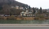 Tour Zu Fuß Eberbach - Rundwanderweg Neckarbrücke 3: Stolzeneck-Weg - Photo 4