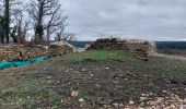 Tocht Stappen Fontainebleau - Circuit des Arbres remarquables 107 - Photo 6