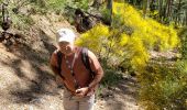 Randonnée Marche Castellane - Les cadières de Brandis - Photo 7