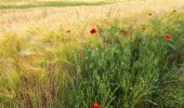 Tour Wandern Les Alluets-le-Roi - Les Alluets - Herbeville - Photo 2