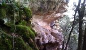 Excursión Senderismo Trémolat - Grotte - Photo 1