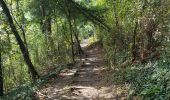 Trail Walking Bassenge - La Montagne St Pierre  - Photo 7