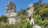 Tocht Stappen La Roquebrussanne - La Roque La loube Col de la barraque les orris - Photo 14