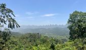Trail Walking Unknown - Ha Giang Nature - Photo 2