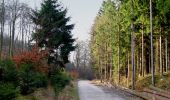 Trail On foot Oerlinghausen - Rundwanderweg Oerlinghausen A4 - Photo 10