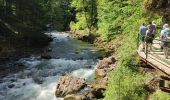 Tocht Stappen Oberstdorf - Breitachklamm  - Photo 5