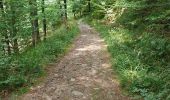 Trail Walking Metzeral - lac de schiessrothried par vallée de la wormsa  - Photo 5