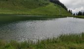 Randonnée Marche Arâches-la-Frasse - Les Carroz tête des Saix boucle - Photo 14