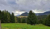 Randonnée Marche Fillière - Chalet des Auges - Photo 1