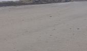 Trail Walking Sibiril - mogueriec roscoff - Photo 7