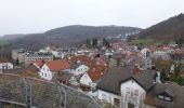 Tour Zu Fuß Lindenfels - Rundwanderweg Lindenfels 2: Schenkenberg-Weg - Photo 10