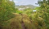 Trail Walking Les Trois-Îlets - Anse à l'Ane - Anse Mitan par Fort d'Alet. - Photo 17