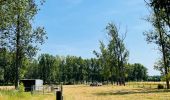 Tour Wandern Sint-Truiden - La reserve naturelle Op d’Hei à Runkelen - Photo 3