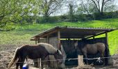 Tour Wandern Ottignies-Louvain-la-Neuve - #240412 - 3 bois : de Bustons, des Corbeaux et des Volontaires (courte) - Photo 12