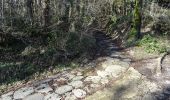 Percorso A piedi Nemi - Le Piagge di Genzano - Monte Cavo - Photo 1